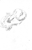 adderpencil on paper&nbsp;21 / 13.5 cm2025nfs